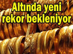 2013te altın fiyatı ne olacak?
