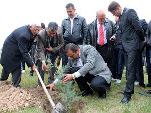 Topluma yapılan en büyük hizmet fidan dikmektir
