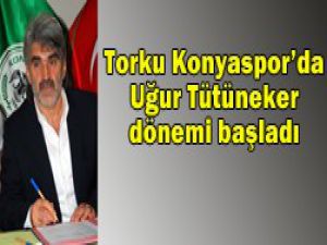 Kartalda Tütüneker dönemi başladı