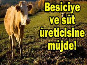Sütün prim desteği 8 kuruş