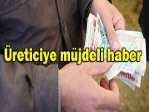 Üreticiye karşılıksız destek
