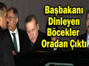Şubatta fark edildi..