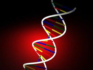 İspanyada göçmenlere DNA testi