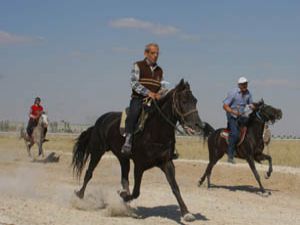 Rahvan atlar Konyada yarıştı