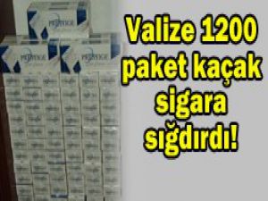 Yolcunun valizinden çıktı