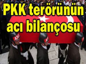 İşte 30 yılda verdiğimiz şehit sayısı