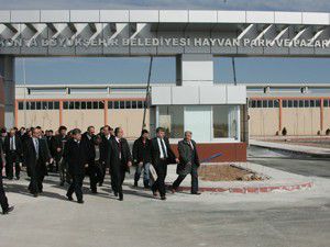 Konyaya modern hayvan pazarı