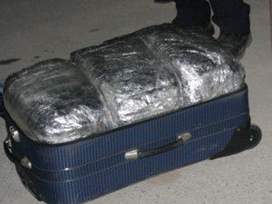 62 kilo esrar ele geçirildi