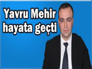 Genç Mehir de evlendirecek