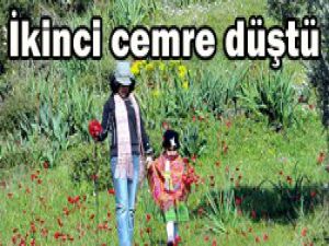 Baharın müjdecisi cemre düştü