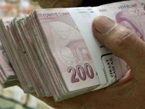 Çiftçilere tarımsal destek ödemesi yapılacak