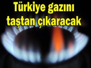 Doğalgaza alternatif geliyor