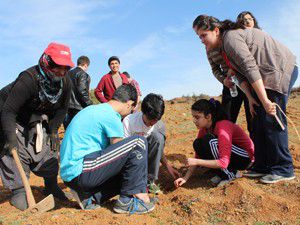 Beyşehirde lise öğrencileri fidan dikti