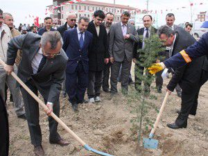 Hane sayısı kadar ağaç dikme hedefliyoruz