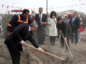 8400 fidan toprakla buluştu