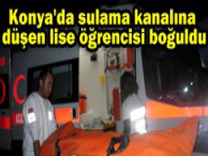 Hayvanları otlatırken düştü...