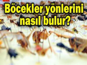 Bilim adamlarından yeni keşif