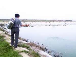 Akşehirde larva mücadelesi başladı