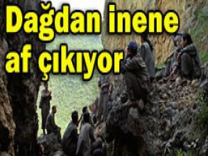 Çalışma başlatıldı