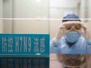 H7N9 virüsünden ölenlerin sayısı artıyor
