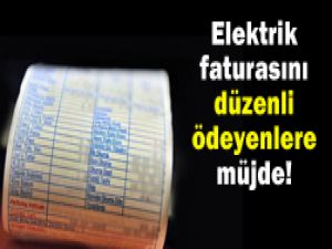 Elektrik faturasına yargı ayarı