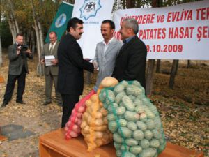 Organik patates hasat şenliği yapıldı
