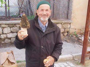 400 gramlık kuzugöbeği mantarı ilgi çekti