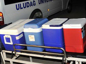 Organ Naklinde ABye Uyum için Teknik Destek