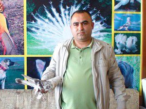 İşte 8 bin TLlik güvercin