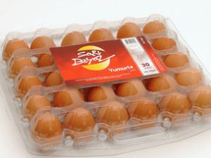 Konya en önemli yumurta üretim merkezi