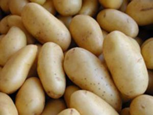 Patates yeni sahibini arıyor