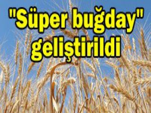 Verimliliği yüzde 30 artırıyor