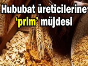 Bakan Ekerden önemli açıklama