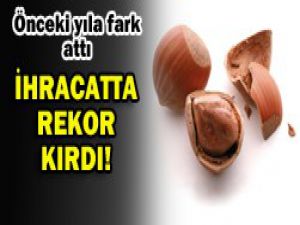 Fındıktan rekor kâr