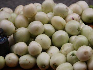 Şeker hastaları pepino peşinde