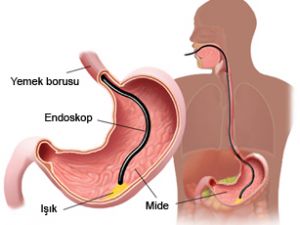 Selçuk Tıp, cerrahi endoskopi eğitimi verecek