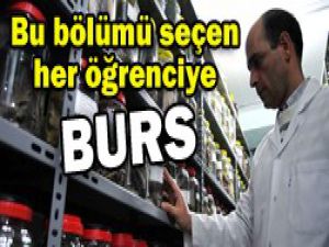 Her öğrenciye burs veriyorlar