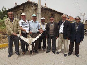 Kesecik leylekler vadisine dönüşüyor