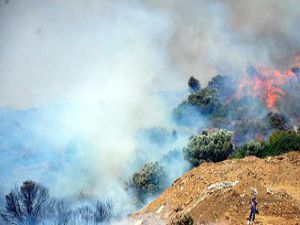 Bodrumdaki yangınlar kontrol altına alındı