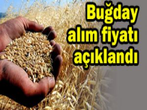 Ton başına ne kadar?