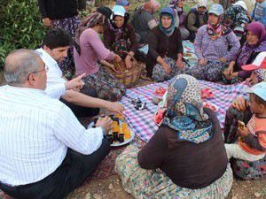 Milletvekili tarlada çapa yaptı