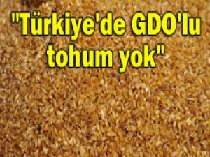 "Tek bir tohumda bile gdo yok"