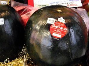 Karpuz 6 bin liraya satıldı