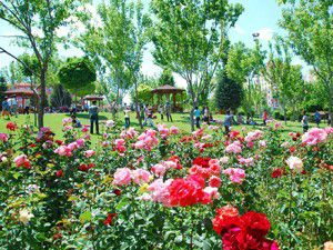Konyada beş parkın yapımı devam ediyor
