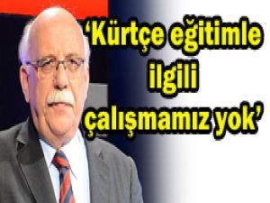 Kürtçe eğitime ilişkin çalışma yok
