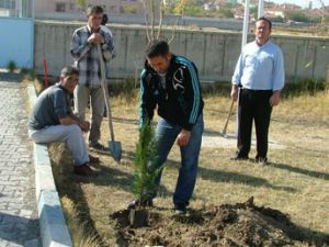 40 kişiye fidan dikme cezası verildi