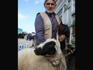 Beyşehirde kurbanlıklar görücüye çıktı