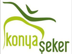 Fortune 500de 7 Konya firması var