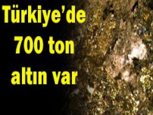 700 ton altın rezervimiz var