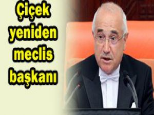 TBMM meclis başkanını seçti